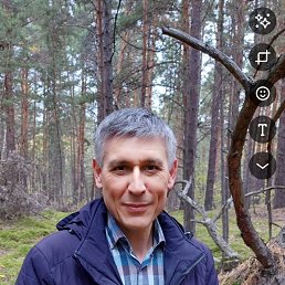 , 53 , 