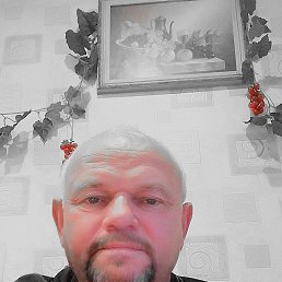 ���� ����, �����������, 56 ��� - ��������� 16 ������� 2024