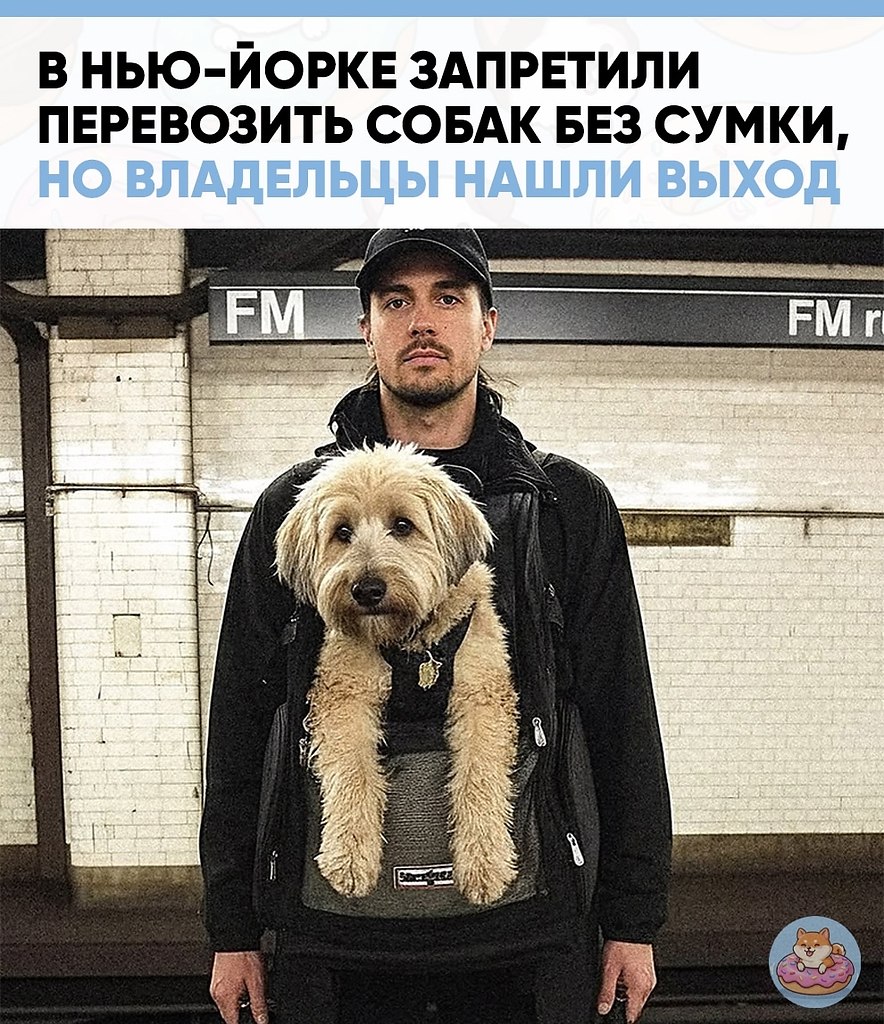 � ���-�������� ������������� ��������� ������� �������, �������� �������� �������� ����������� � ...
