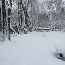 ���� Tina, ������� - ��������� 19 ������� 2026 � ������ ����� �� ������ ���໻