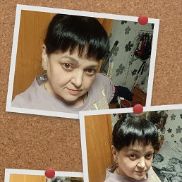 ���� ��������, �������, 54 ���� - ��������� 2 ��� 2026