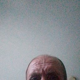 ������, �����������, 48 ���