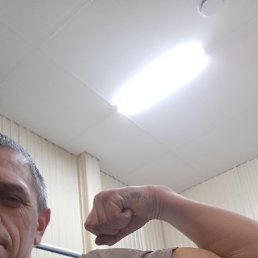 ���� ������, �����, 41 ��� - ��������� 4 ������� 2024