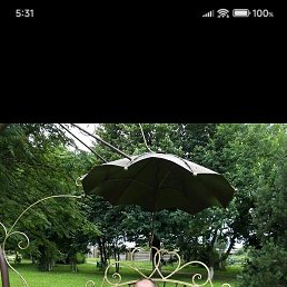 �����, ���������, 43 ����