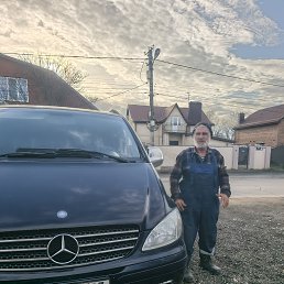 ������, 56 ���, ���������