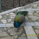 ���� ������, ������� - ��������� 29 ������ 2026 � ������ ���� ����������
