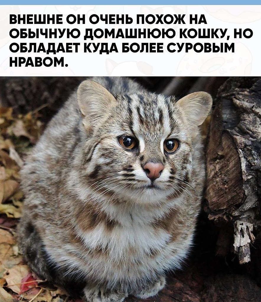 ���� ��� �����, ��������� � ��������� � ��������, �������� ����� �� ����� ����������. ��-�� ����� ... - 4