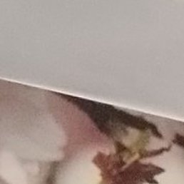 , , 32 