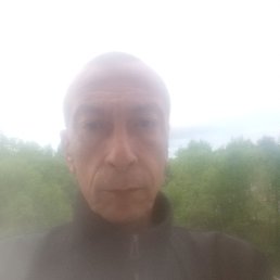 , 55, 