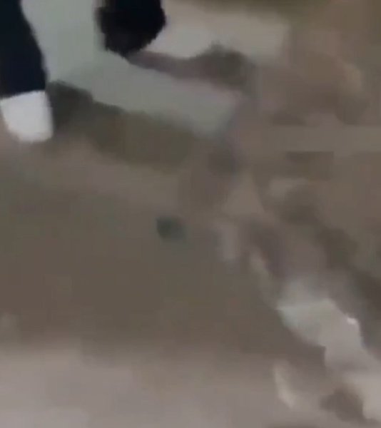 ���� ������ ����� � �����.12-������ �������, ������� ������ ����� ����� � ��������, ��������� ...