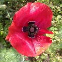 ��� �� ����� ��������-�� ��������!!! �� ������� ������ ��������