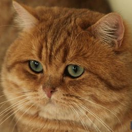 ���� �����-, ������� - ��������� 13 ���� 2024