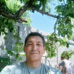 ���� ���������, �����, 46 ��� - ��������� 18 ���� 2024