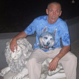 , 62, 