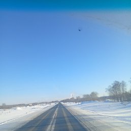���� ���������, ���������� �����, 44 ���� - ��������� 29 ������ 2026