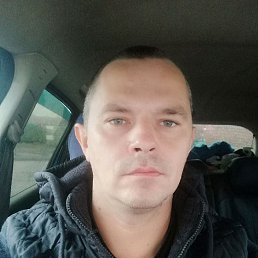 , 41,  