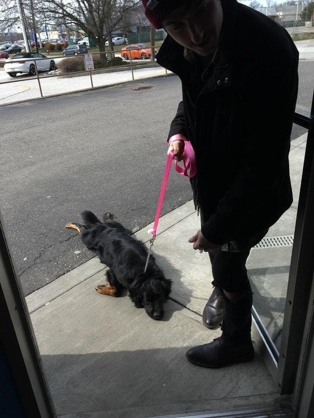 И так каждый раз, когда после парка надо заходить домой