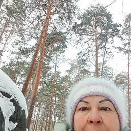 ���� ��������, �����������, 68 ��� - ��������� 6 ������� 2026