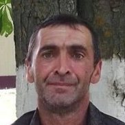 �����, 46 ���, ��������