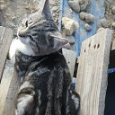 ���� ���, �����, 46 ��� - ��������� 1 ������ 2023