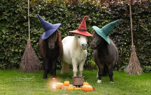  -   ! - 31  2025  12:15