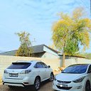 ���� Parviz, �����-���������, 23 ���� - ��������� 30 ������ 2023 � ������ ���� ����������