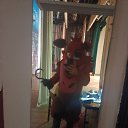 ���� ������, �����, 35 ��� - ��������� 30 ���� 2026 � ������ ���� ����������