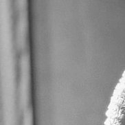 ������, 35 ���, �������