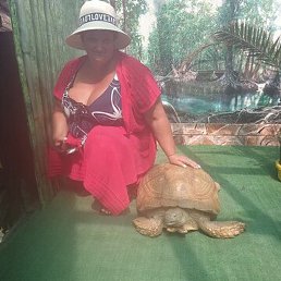 Aleksandr, ������-��-����, 41 ���