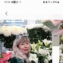 ���� ����, ������, 62 ���� - ��������� 15 ������� 2024 � ������ ���� ����������