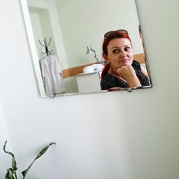 �������, ����������, 44 ����