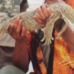 ���� ������, ��������, 52 ���� - ��������� 16 ������� 2023