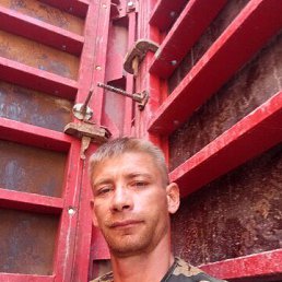 , 33, 