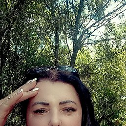 ���� �����, ����, 41 ��� - ��������� 25 ���� 2024