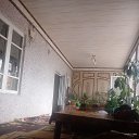 ���� �, ������, 38 ��� - ��������� 9 ������ 2023 � ������ ���� ����������
