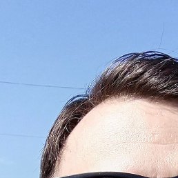 �����, ������������, 39 ���