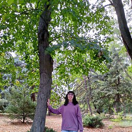 �����, ���������, 58 ���