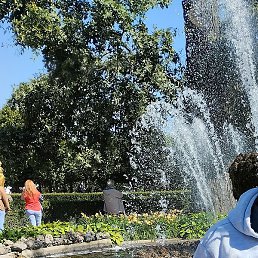 �����, �����, 61 ���