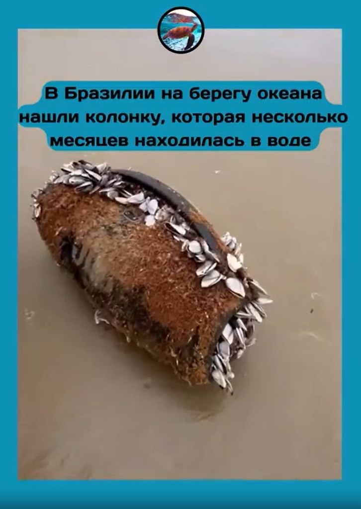 JBL �epe���a o�ea�: �o�o��a �p� �ec��a �e�a�a � co��o� �o�e � �������ac�.a �o�epe��e o�ea�a � ... - 3