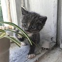 ���� �����, ����������, 30 ��� - ��������� 10 ���� 2025 � ������ ���� ����������