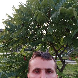 , 36, 