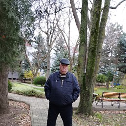 ���� ������, ���������, 63 ���� - ��������� 24 ������� 2025