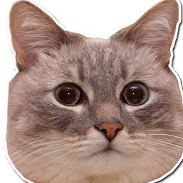 ������, ������, 42 ����