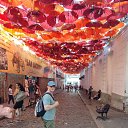 �������, ���������, 2023. �� ������� ���� ����������