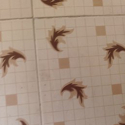 G, ����, 28 ���