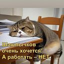���� �������, ���������, 69 ��� - ��������� 27 ���� 2026 � ������ ������ ��������