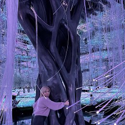 ��������, �������������-����������, 51 ���