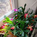 ���� ������, ������� �����, 70 ��� - ��������� 20 ����� 2025 � ������ ���� ����������