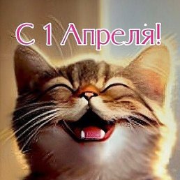 ���� ����, ������, 64 ���� - ��������� 2 ������ 2025