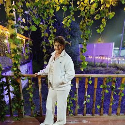 �������, ������, 67 ���